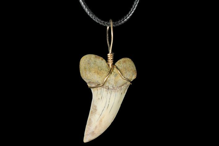 Fossil Mako Tooth Necklace - Bakersfield, California